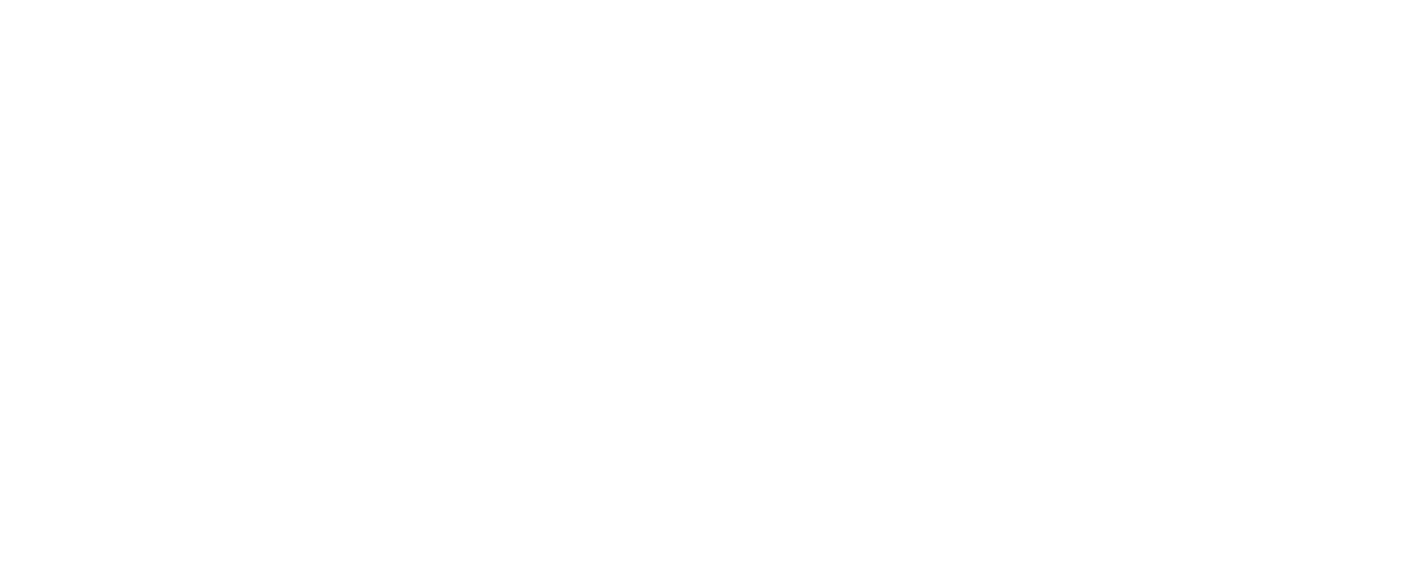 RSI Teknik logo